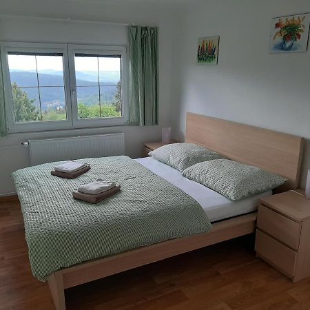 Naproti Klinovci Villa Jáchymov Eksteriør bilde